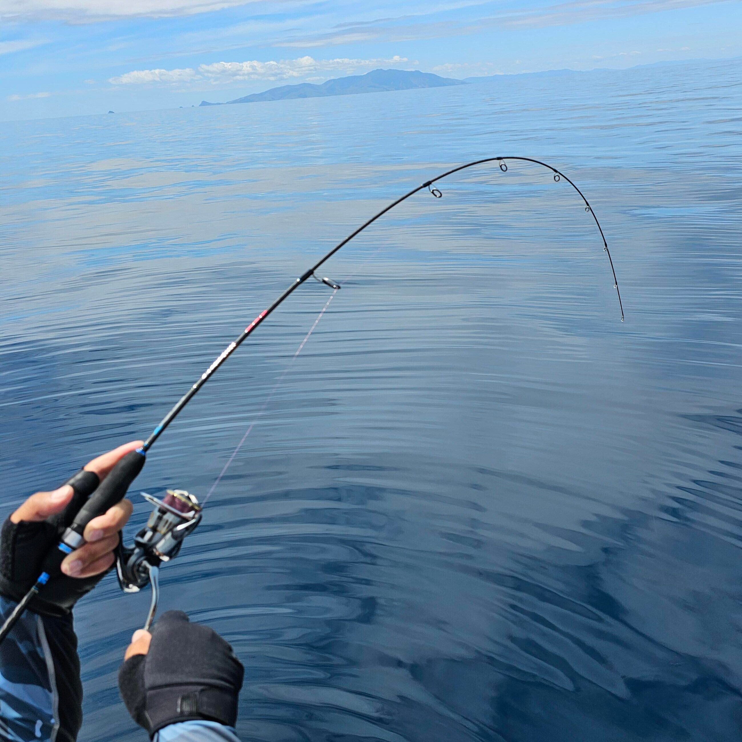 ELEMENTUS Micro Style SLJ MJ Rod - Image 13