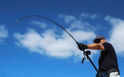 Surfcasting Rig Guide: Tips and Techniques for Successful Fishing in NZ