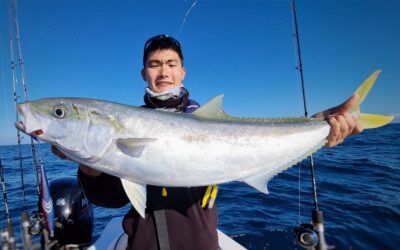 How to Target Kingfish on Slow-Pitch Jigs