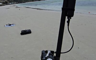 User Review: the Ocean’s Legacy Backline Big Bait Special Drone Spec Rod